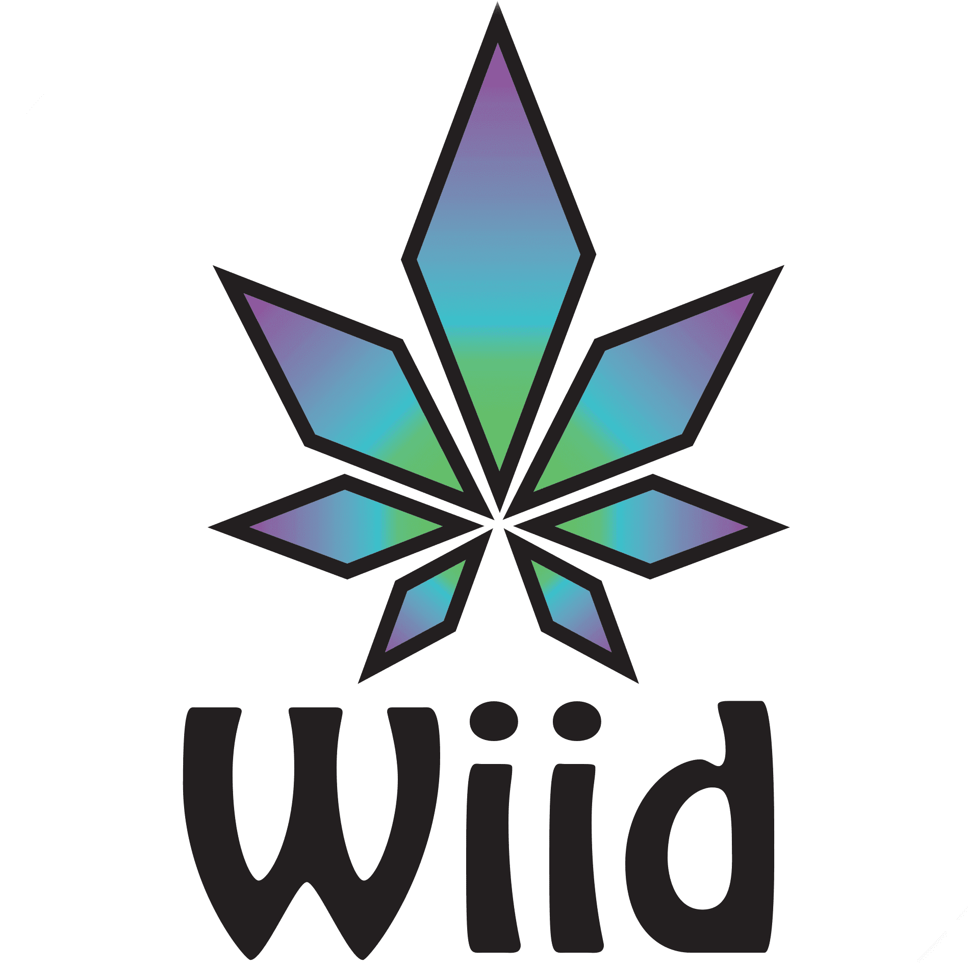 Wiid Boutique Inc.