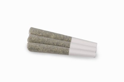 Black Dolato (EastCann) Pre-Roll