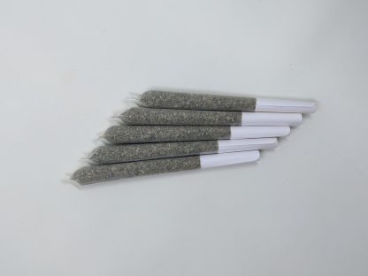 Indica P/R (Works Done) Pre-Roll