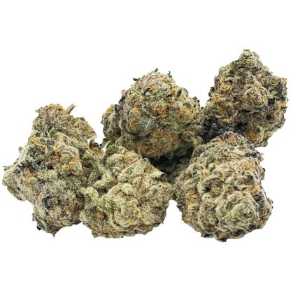 Black Banana Cookie (Silky Continental)