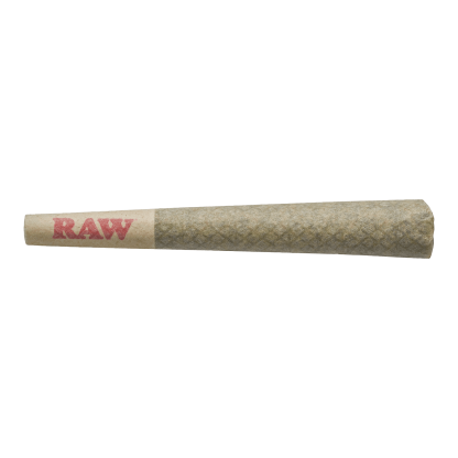 CBD Runtz (Orchid) Pre-Roll